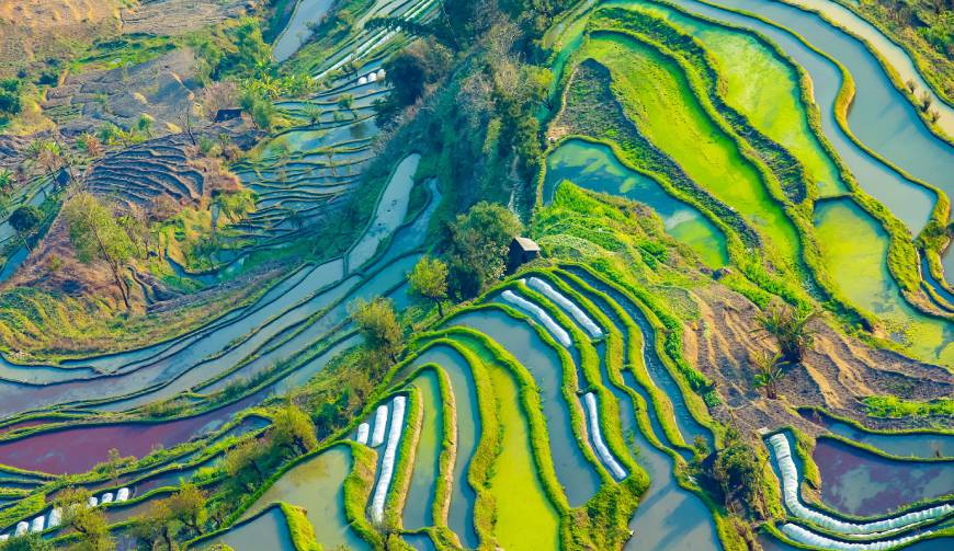 宝妈必备神器：陵水产品视频拍摄轻松育儿好帮手