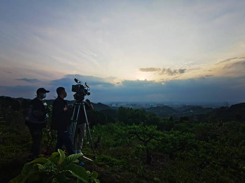 聚焦陵水产品宣传视频拍摄公司，用专业实力铸就品牌传播传奇